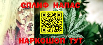 тгк Пугачёв