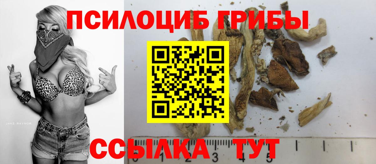 цены наркотик  Вход с VPN  Павлово  Галлюциногенные грибы Cubensis 