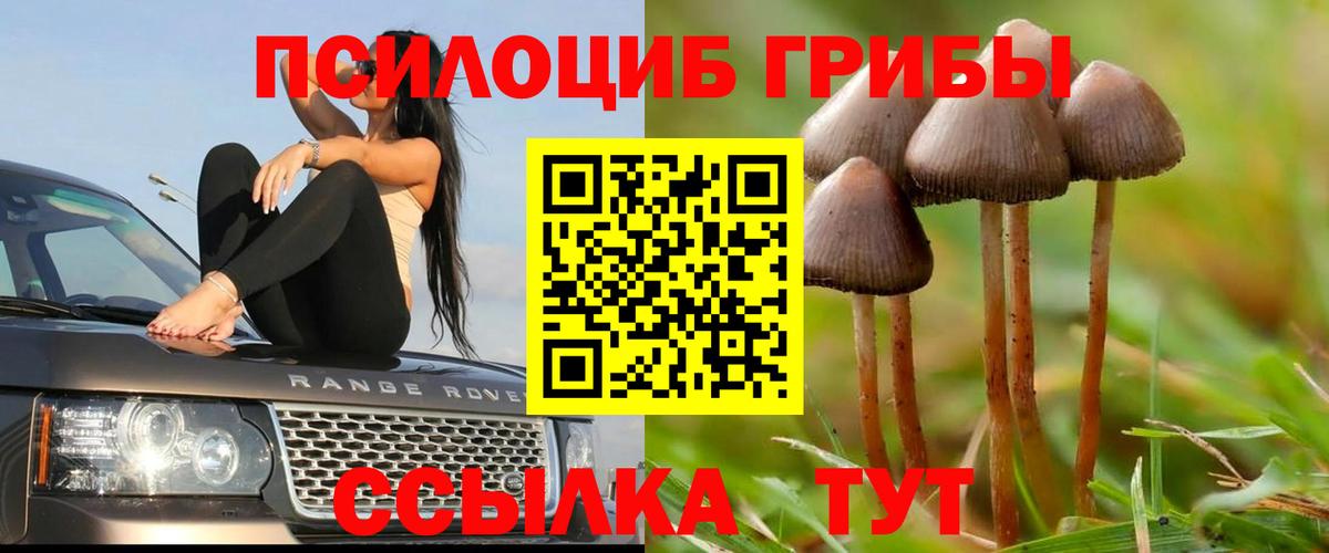 Галлюциногенные грибы прущие грибы Павлово